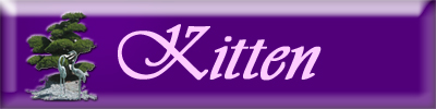 Kitten